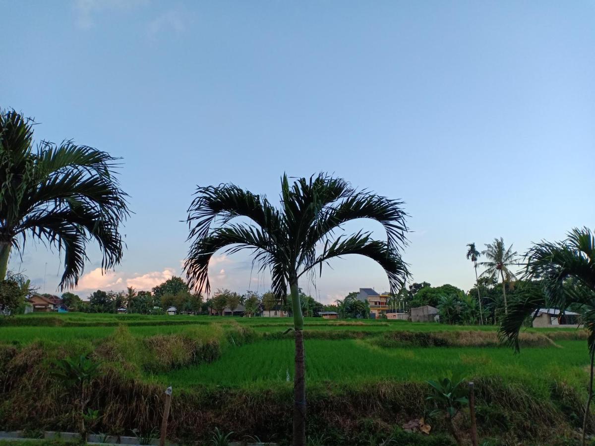 Bata Merah Homestay Banyuwangi  Exterior photo