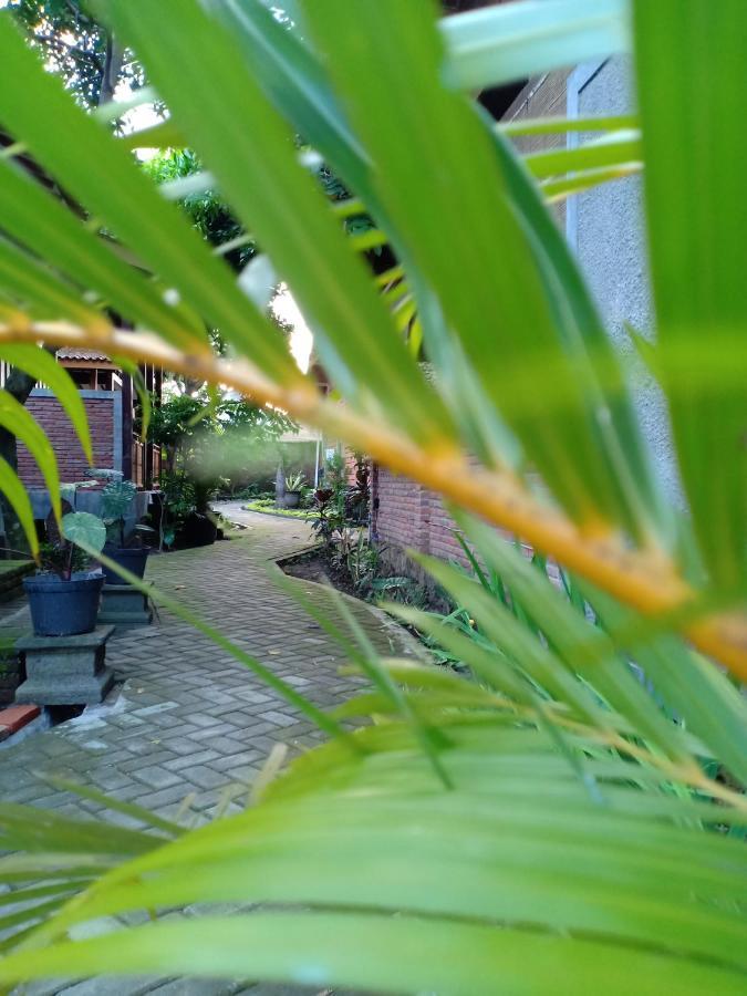 Bata Merah Homestay Banyuwangi  Exterior photo