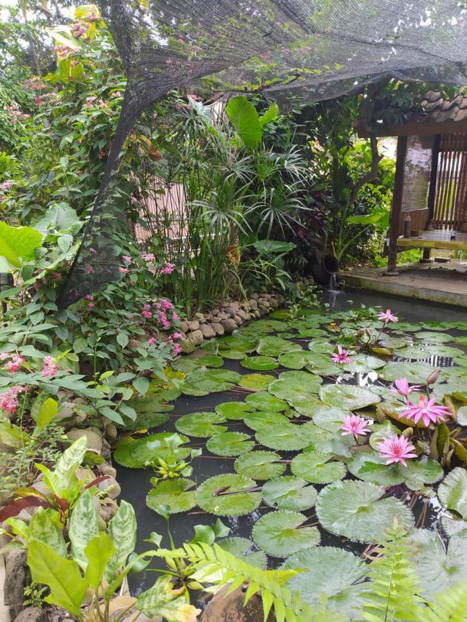 Bata Merah Homestay Banyuwangi  Exterior photo