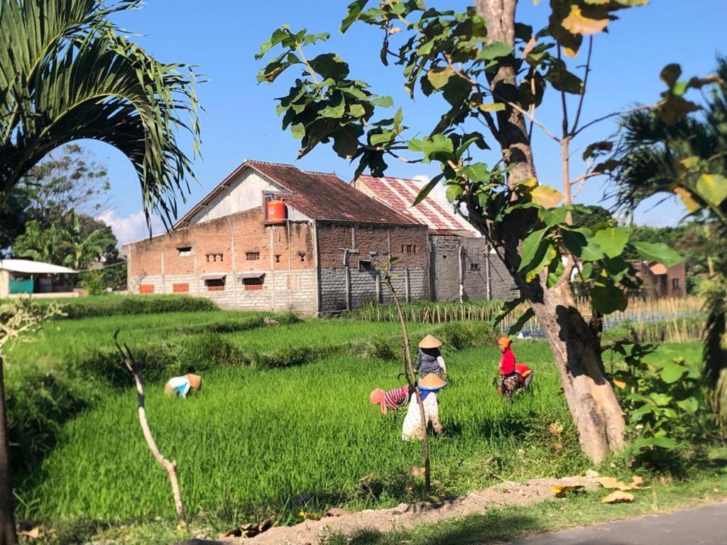 Bata Merah Homestay Banyuwangi  Exterior photo